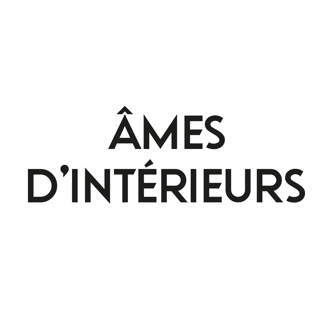 logo-amesdinterieurs